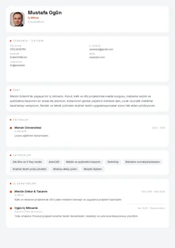  cv indir